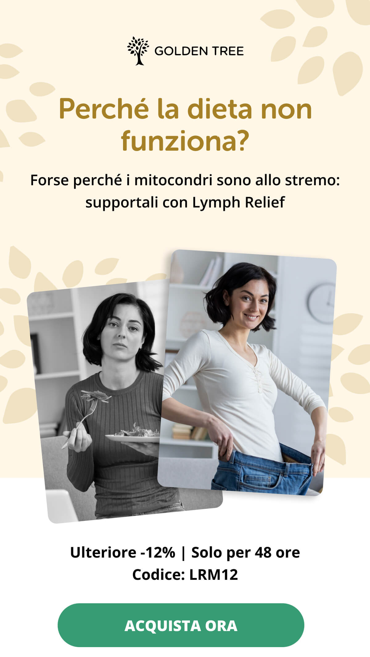 Perché la dieta non funziona? Forse perché i mitocondri sono allo stremo: supportali con Lymph Relief Ulteriore -12% | Solo per 48 ore | Codice: LRM12 ACQUISTA ORA <<