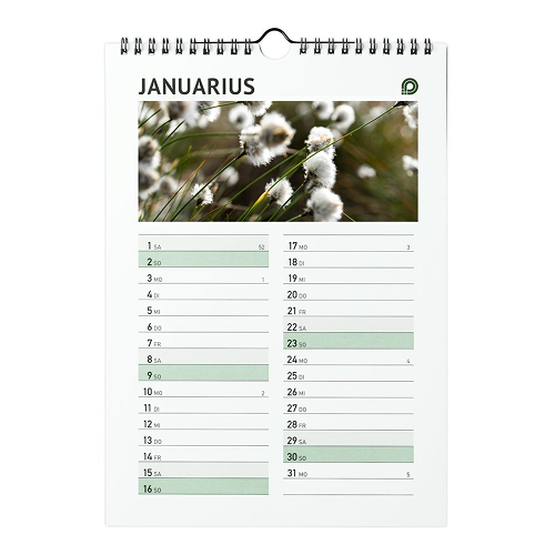 Foglio del calendario da parete gennaio con rilegatura a spirale, foto di erba cotonina, panoramica giornaliera con giorni della settimana e settimane di calendario. E il logo di Onlineprinters.