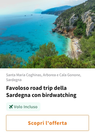 Favoloso road trip della Sardegna con birdwatching