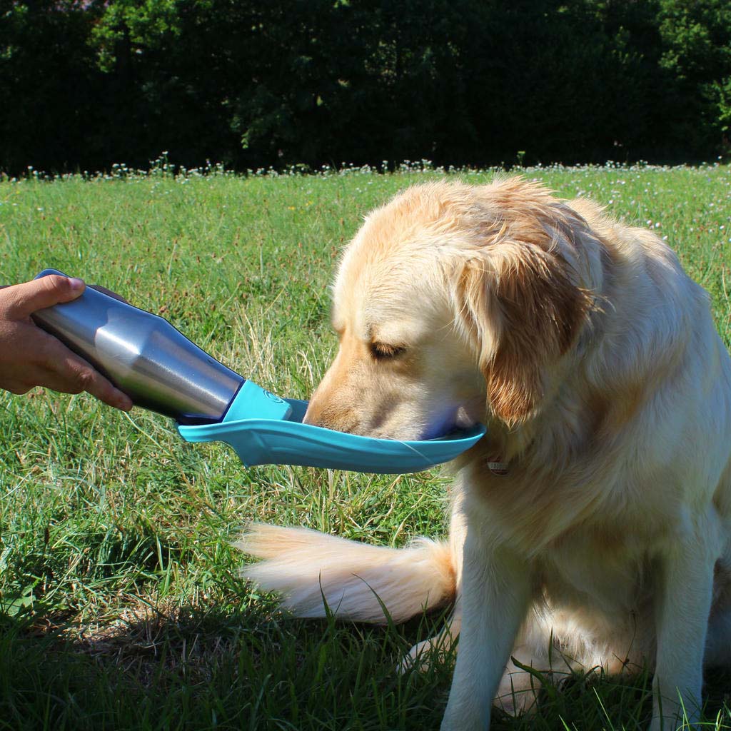 Image of Borraccia per Cani
