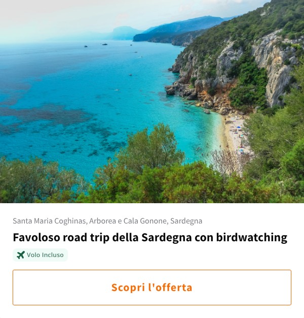 Favoloso road trip della Sardegna con birdwatching