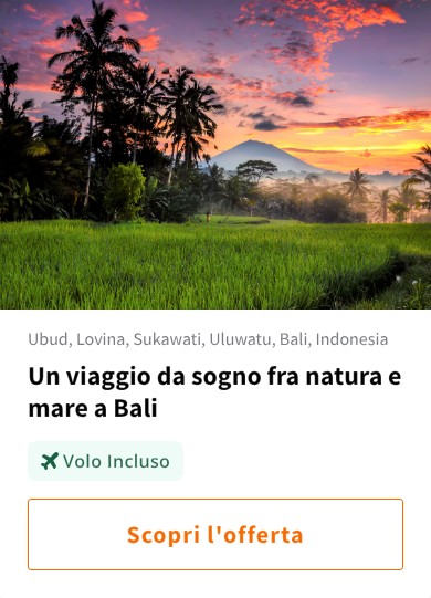 Un viaggio da sogno fra natura e mare a Bali