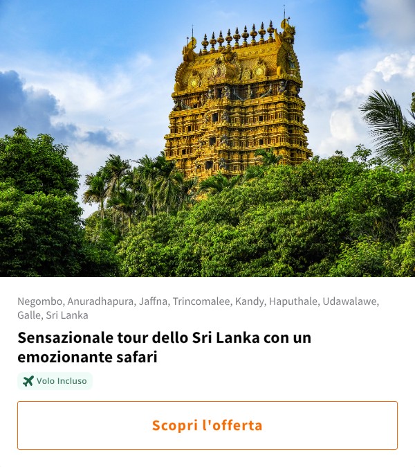 Sensazionale tour dello Sri Lanka con un emozionante safari