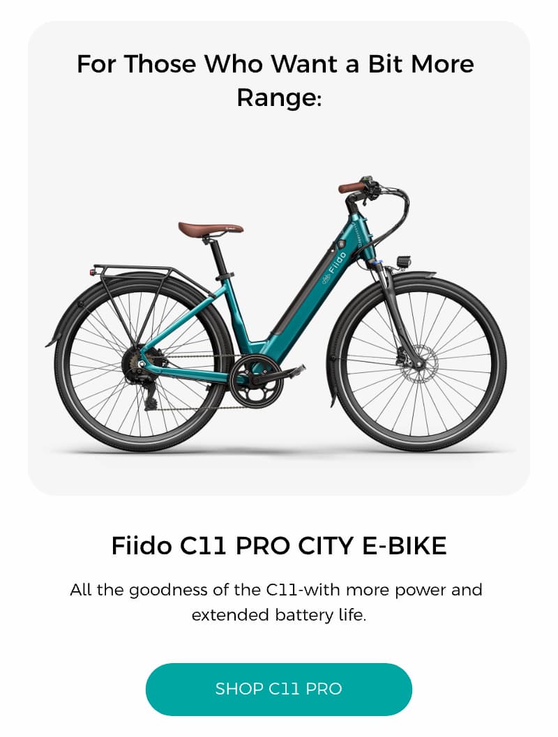 C11 Pro