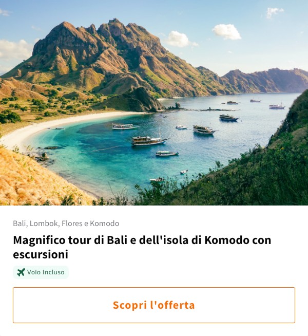 Magnifico tour di Bali e dell&#x27;isola di Komodo con escursioni