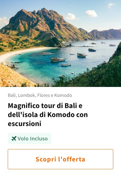 Magnifico tour di Bali e dell&#x27;isola di Komodo con escursioni