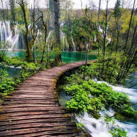 Activity image: Zara: Tour guidato di un giorno ai laghi di Plitvice con biglietti