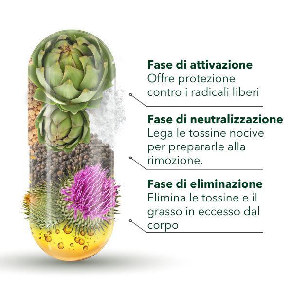 DetoxFar depura il tuo corpo in 3 fasi
