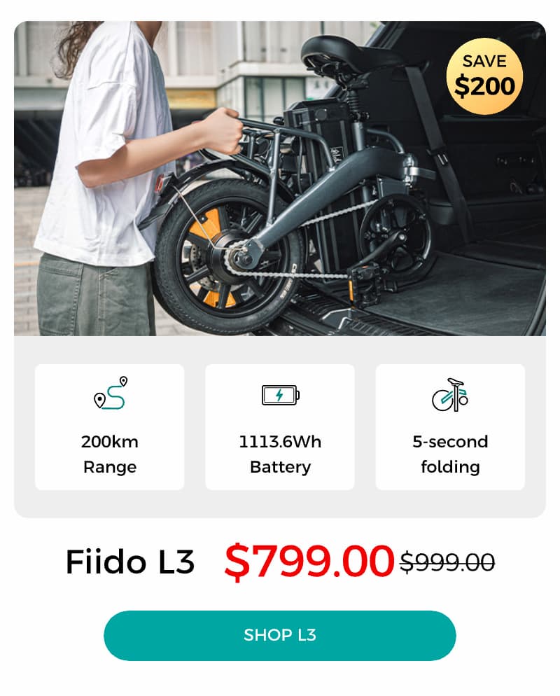 L3