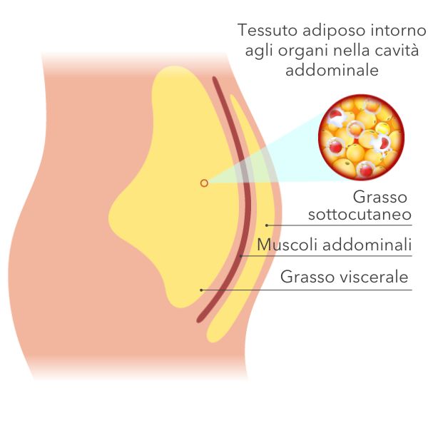 Grasso viscerale