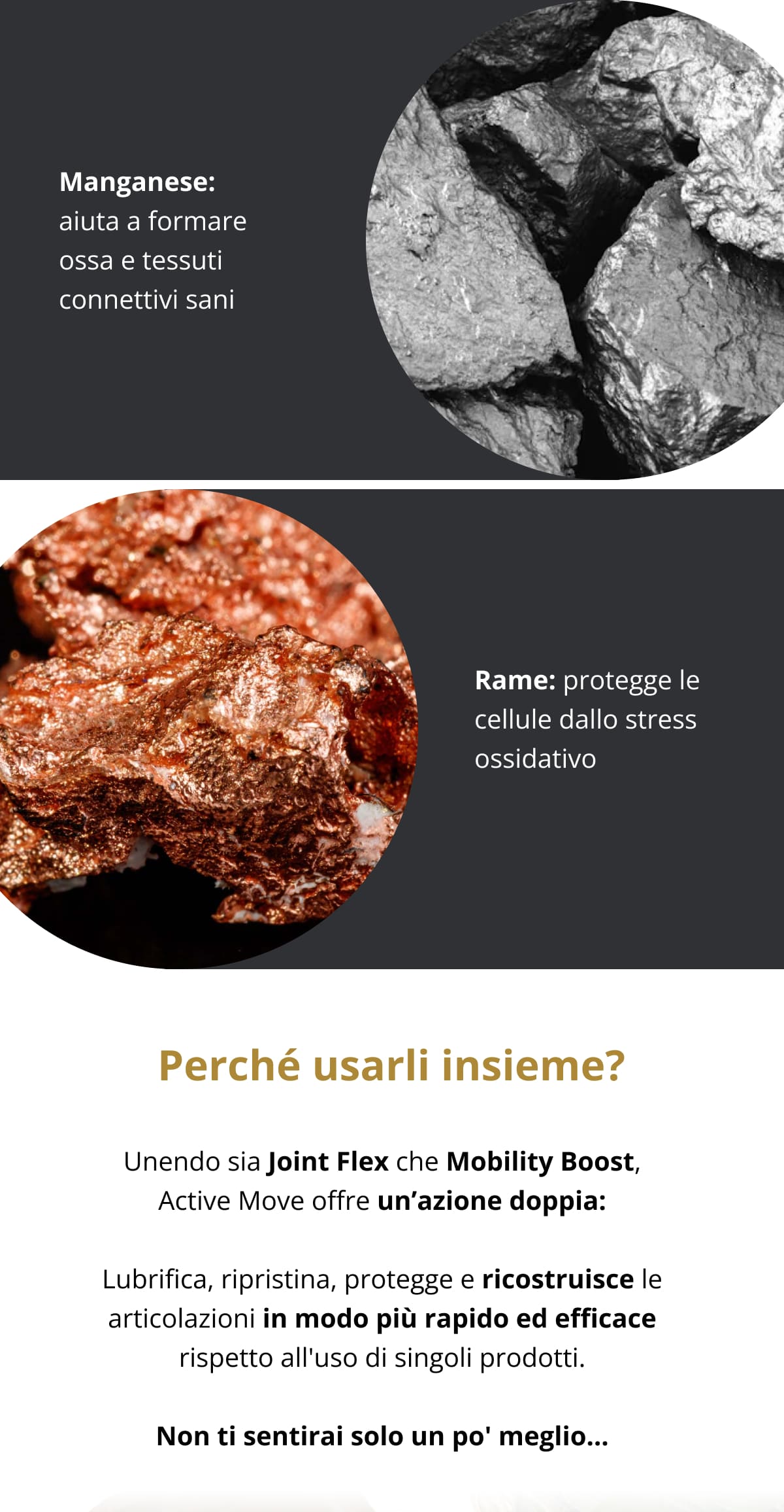 Manganese: aiuta a formare ossa e tessuti connettivi sani Rame: protegge le cellule dallo stress ossidativo  ✨ Perché usarli insieme? Unendo sia Joint Flex che Mobility Boost, Active Move offre un’azione doppia: Lubrifica, ripristina, protegge e ricostruisce le articolazioni in modo più rapido ed efficace rispetto all'uso di singoli prodotti. Non ti sentirai solo un po' meglio...