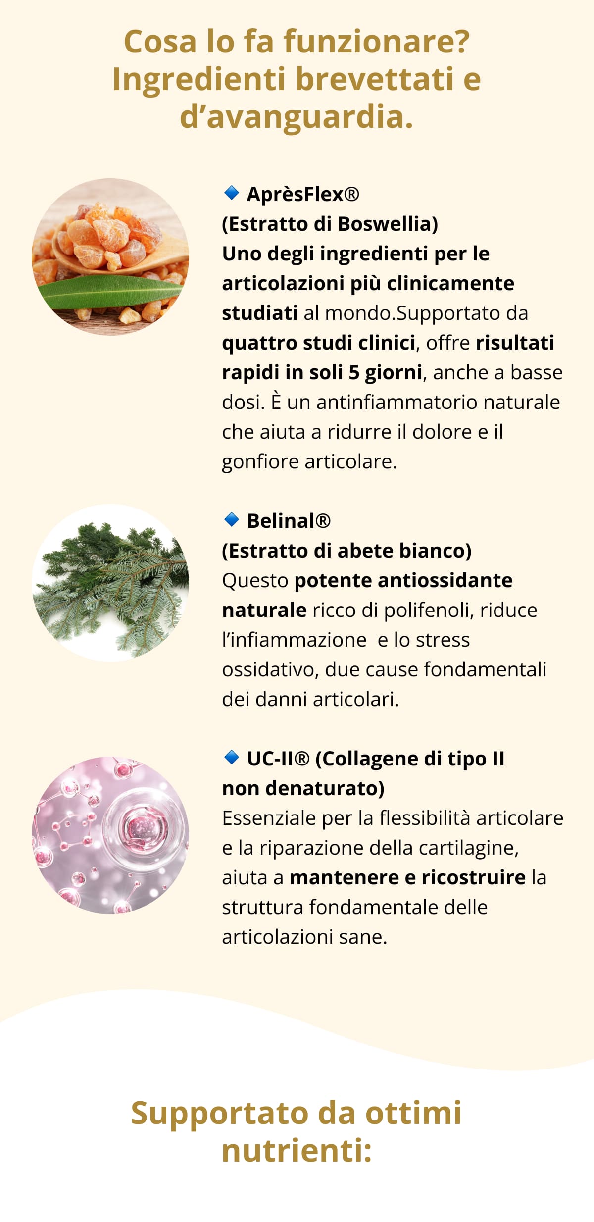 💊 Cosa lo fa funzionare? Ingredienti brevettati e d’avanguardia. 🔹 AprèsFlex® (Estratto di Boswellia) Uno degli ingredienti per le articolazioni più clinicamente studiati al mondo. Supportato da quattro studi clinici, offre risultati rapidi in soli 5 giorni, anche a basse dosi. È un antinfiammatorio naturale che aiuta a ridurre il dolore e il gonfiore articolare. 🔹 Belinal® (Estratto di abete bianco) Questo potente antiossidante naturale ricco di polifenoli, riduce l’infiammazione  e lo stress ossidativo, due cause fondamentali dei danni articolari. 🔹 UC-II® (Collagene di tipo II non denaturato) Essenziale per la flessibilità articolare e la riparazione della cartilagine, aiuta a mantenere e ricostruire la struttura fondamentale delle articolazioni sane.  💪 Supportato da ottimi nutrienti: