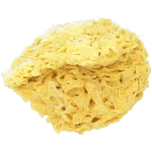 Koutouzis Natural Sea Sponges Spugna Naturale Honeycomb