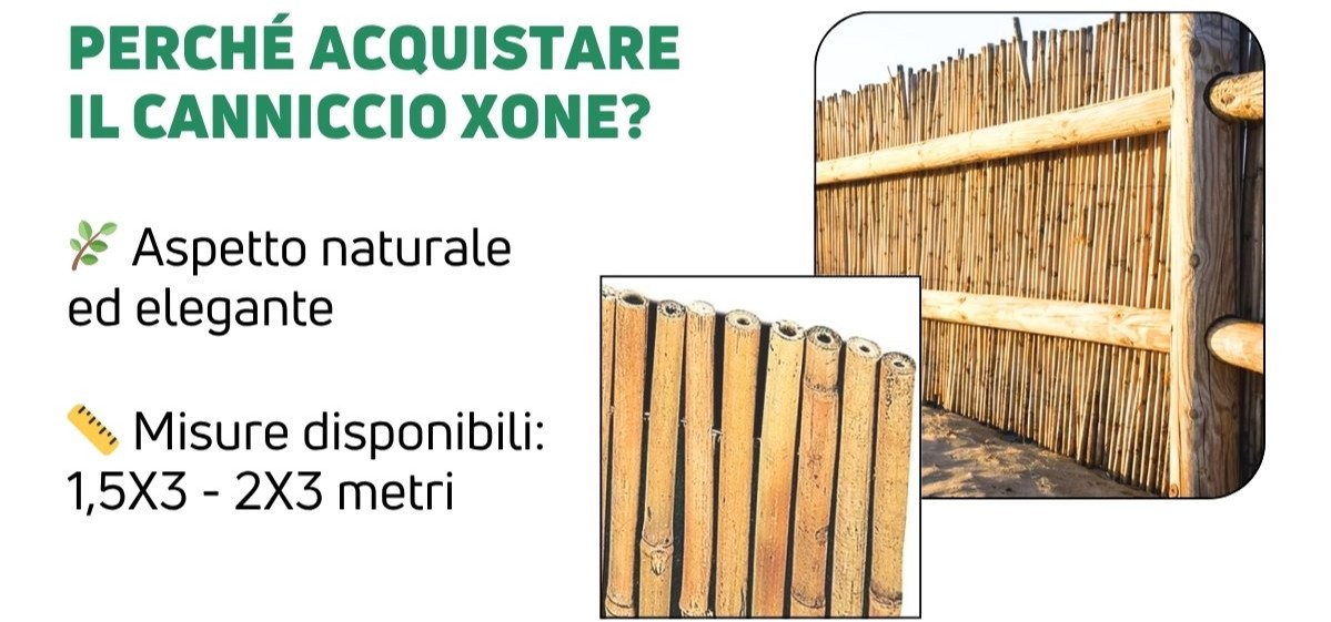 Arella in Bamboo Xone | Perrone Shop 