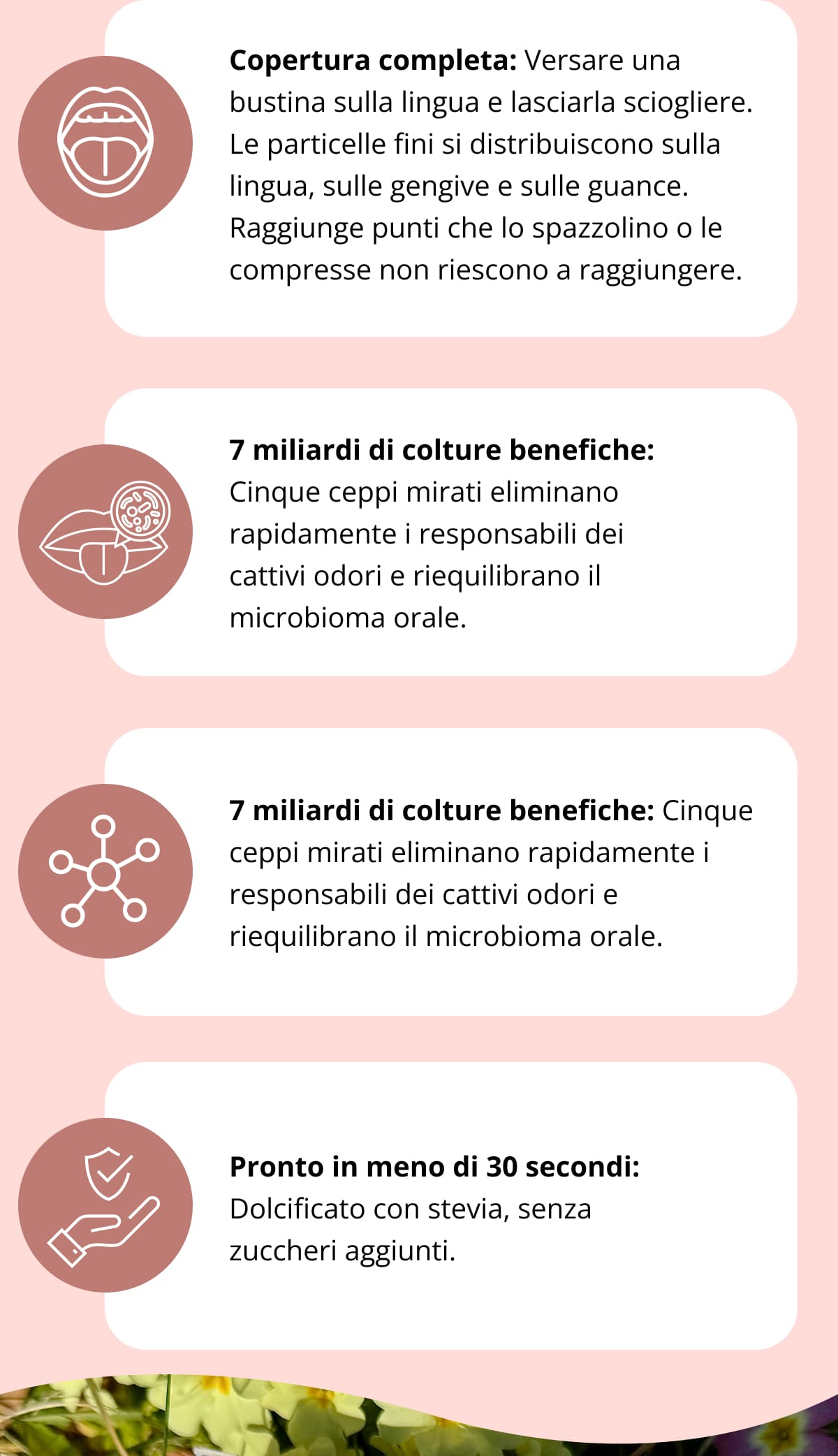 Copertura completa: Versare una bustina sulla lingua e lasciarla sciogliere. Le particelle fini si distribuiscono sulla lingua, sulle gengive e sulle guance. Raggiunge punti che lo spazzolino o le compresse non riescono a raggiungere.   7 miliardi di colture benefiche: Cinque ceppi mirati eliminano rapidamente i responsabili dei cattivi odori e riequilibrano il microbioma orale.   Nutrimento di inulina a base di radice di cicoria: Fornisce ai batteri buoni il carburante necessario per mantenersi in forma.   Pronto in meno di 30 secondi: Dolcificato con stevia, senza zuccheri aggiunti.