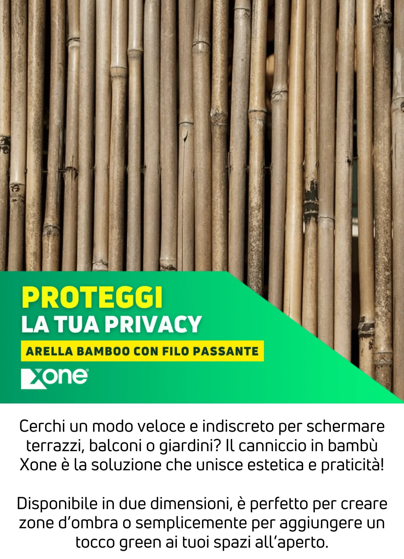 Arella in Bamboo Xone | Perrone Shop 