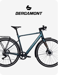 Bergamont