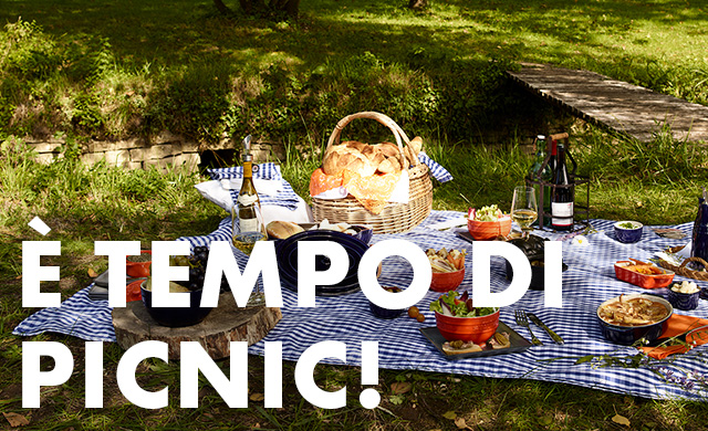 Picnic all'aperto