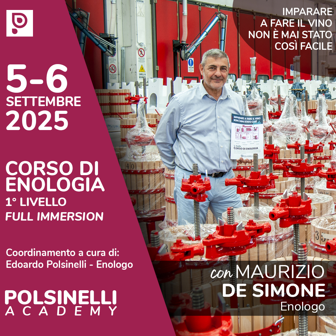 Partecipa al Corso di Enologia 1° Livello di Polsinelli! 🍷