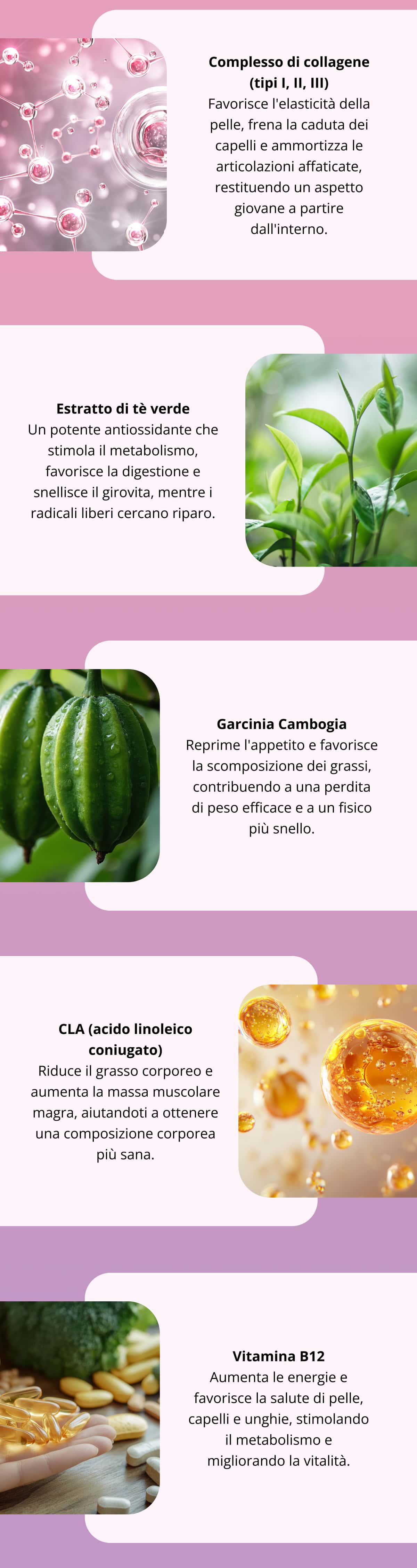 Complesso di collagene (tipi I, II, III) Favorisce l'elasticità della pelle, frena la caduta dei capelli e ammortizza le articolazioni affaticate, restituendo un aspetto giovane a partire dall'interno. Estratto di tè verde Un potente antiossidante che stimola il metabolismo, favorisce la digestione e snellisce il girovita, mentre i radicali liberi cercano riparo. Garcinia Cambogia Reprime l'appetito e favorisce la scomposizione dei grassi, contribuendo a una perdita di peso efficace e a un fisico più snello. CLA (acido linoleico coniugato) Riduce il grasso corporeo e aumenta la massa muscolare magra, aiutandoti a ottenere una composizione corporea più sana. Vitamina B12 Aumenta le energie e favorisce la salute di pelle, capelli e unghie, stimolando il metabolismo e migliorando la vitalità.