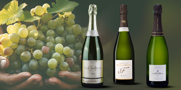 Champagne de vignerons