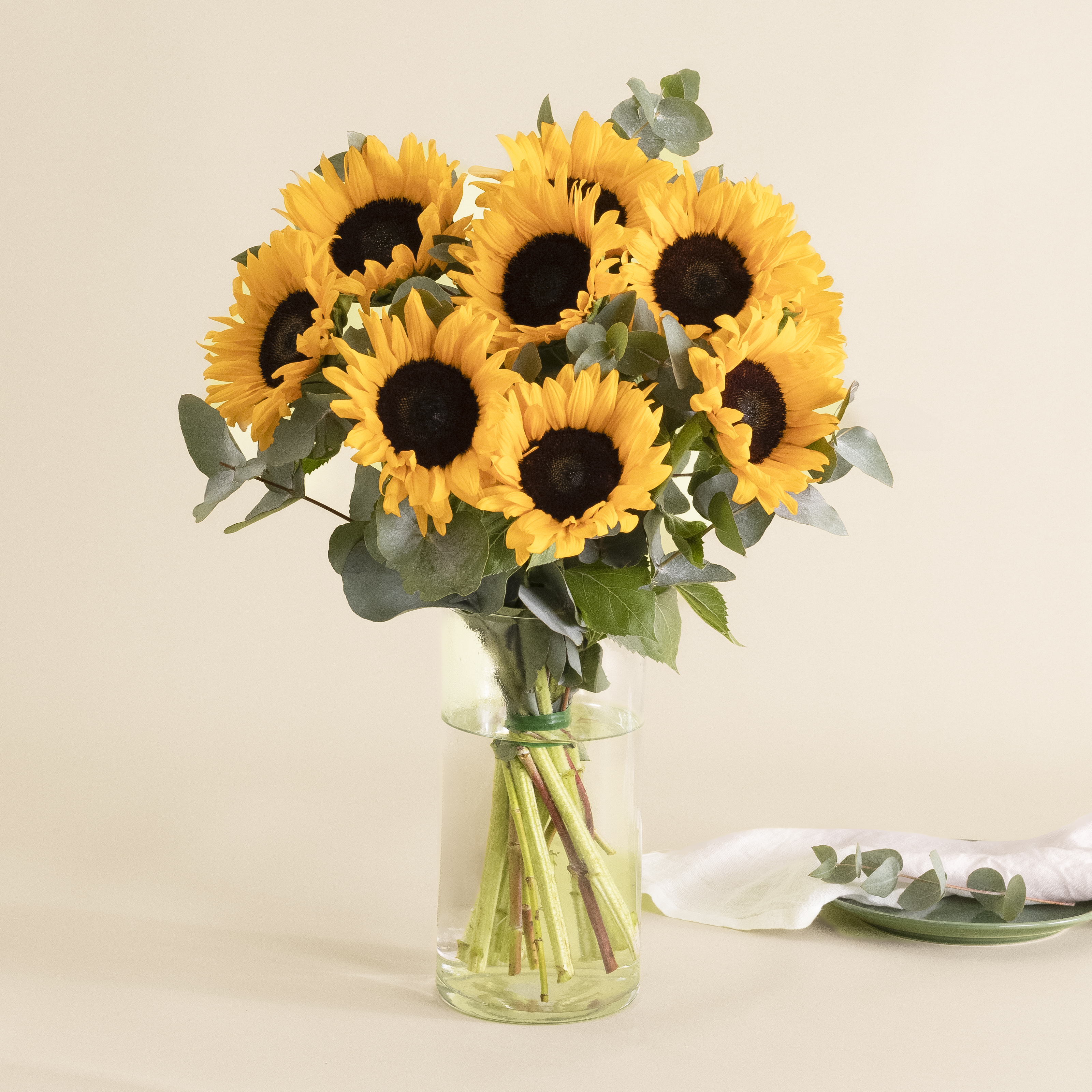 Girasoles