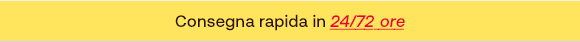 Banner giallo con testo ''Consegna rapida in 24/72 ore'' scritto in rosso.
