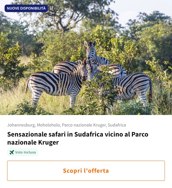 Sensazionale safari in Sudafrica vicino al Parco nazionale Kruger