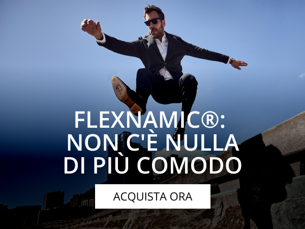 Flexnamic