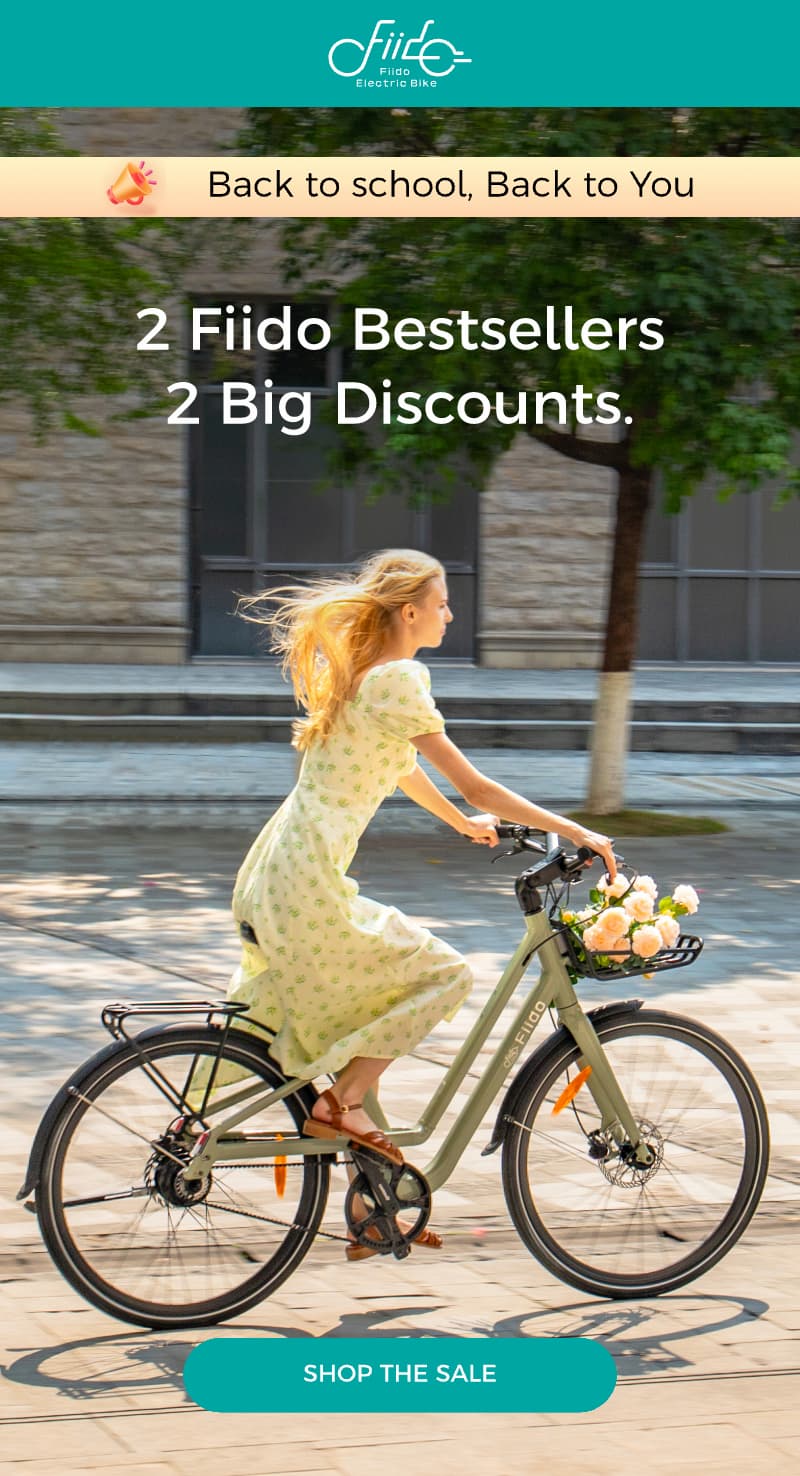 2 Fiido bestsellers. 2 Big Discount.