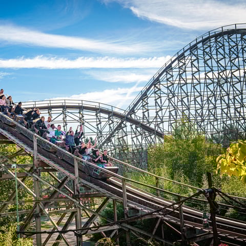 Activity image: Soltau: Biglietto giornaliero Heide Park Resort
