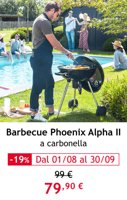 barbecue PHOENIX ALPHA