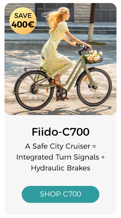 Fiido C700