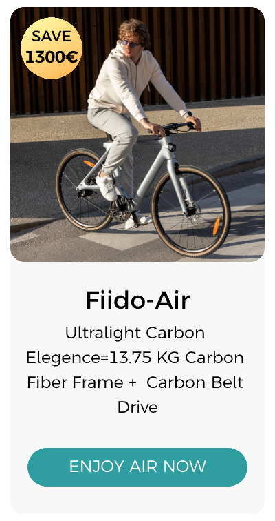 Fiido Air