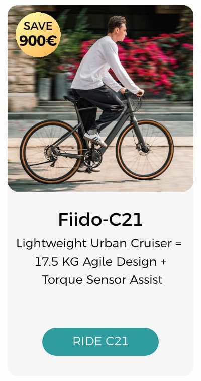 Fiido C21