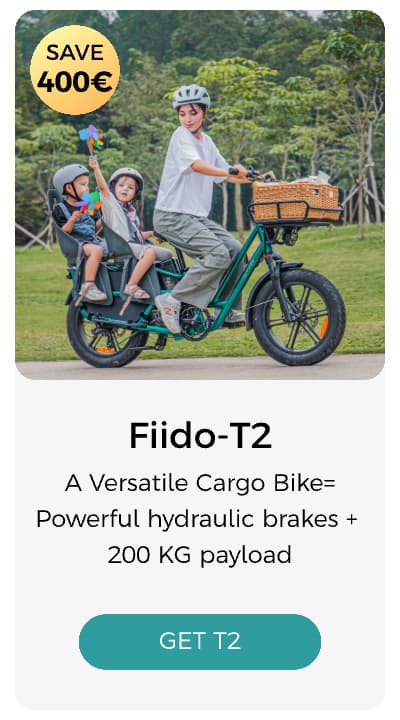 Fiido T2