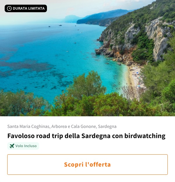 Favoloso road trip della Sardegna con birdwatching