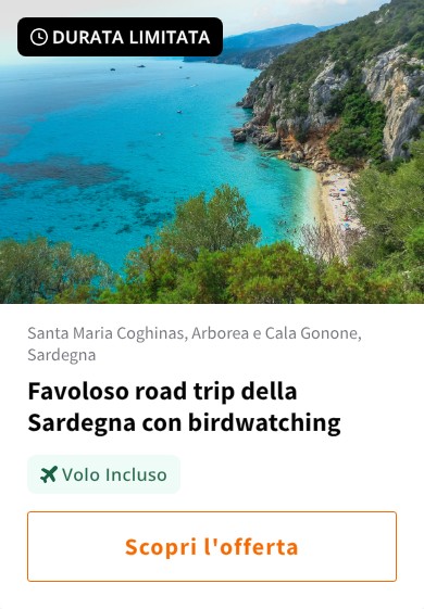 Favoloso road trip della Sardegna con birdwatching