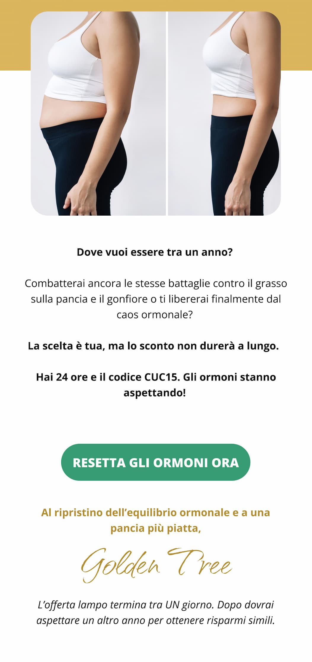 Dove vuoi essere tra un anno? Combatterai ancora le stesse battaglie contro il grasso sulla pancia e il gonfiore o ti libererai finalmente dal caos ormonale? La scelta è tua, ma lo sconto non durerà a lungo.  Hai 24 ore e il codice CC15. Gli ormoni stanno aspettando!  RESETTA GLI ORMONI ORA   Al ripristino dell’equilibrio ormonale e a una pancia più piatta, Golden Tree L’offerta lampo termina tra UN giorno. Dopo dovrai aspettare un altro anno per ottenere risparmi simili.