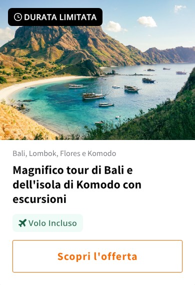 Magnifico tour di Bali e dell&#x27;isola di Komodo con escursioni