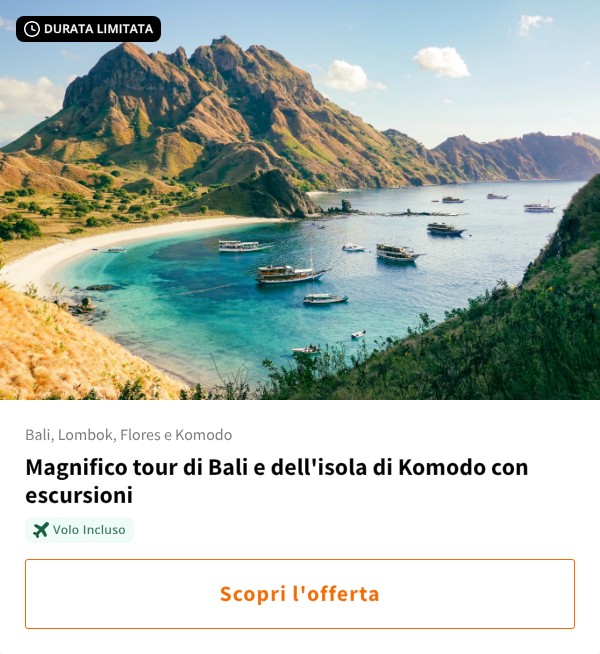 Magnifico tour di Bali e dell'isola di Komodo con escursioni