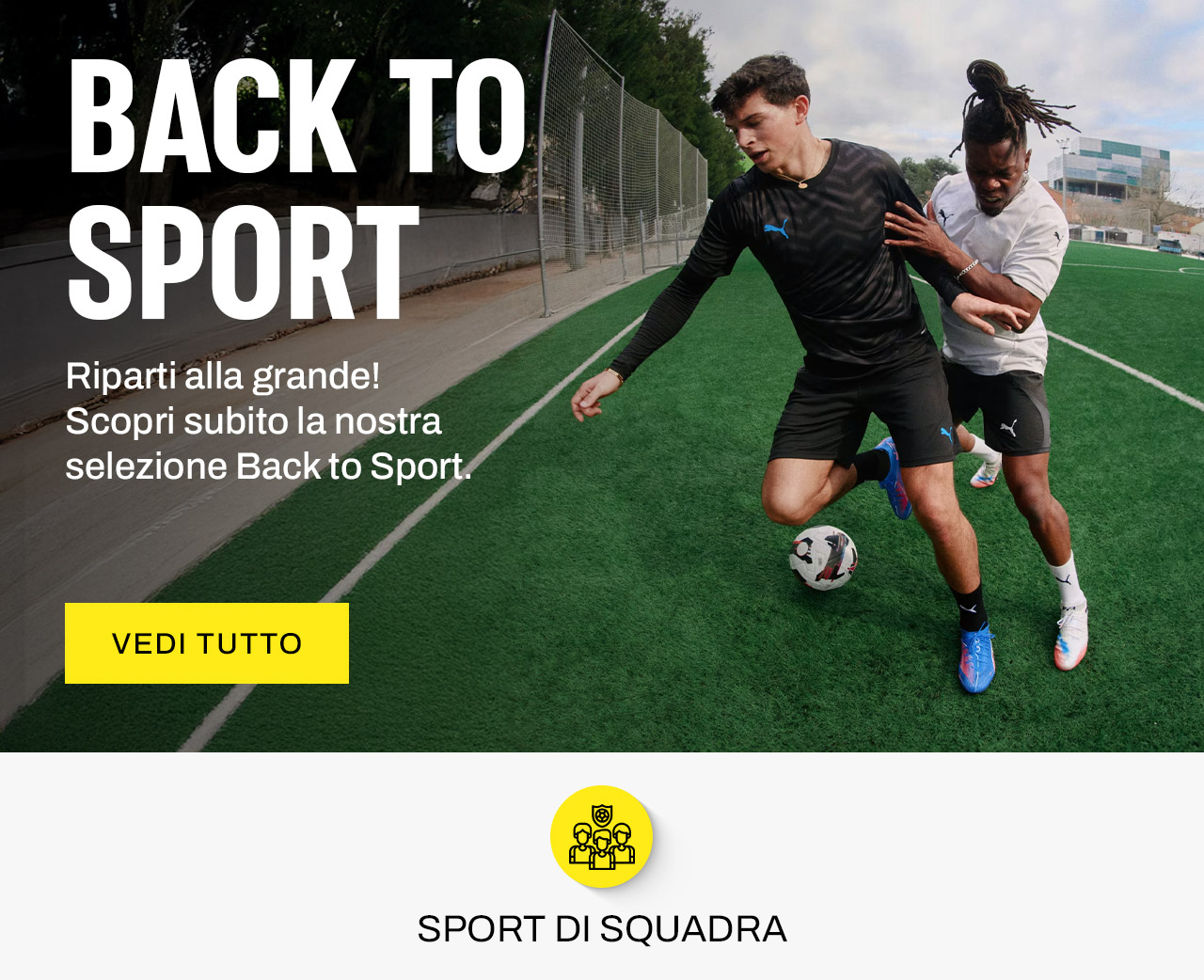 Back to sport
