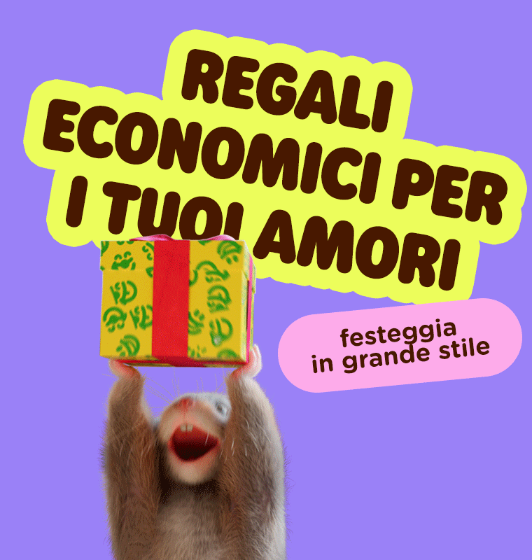  Regali economici per i tuoi amori