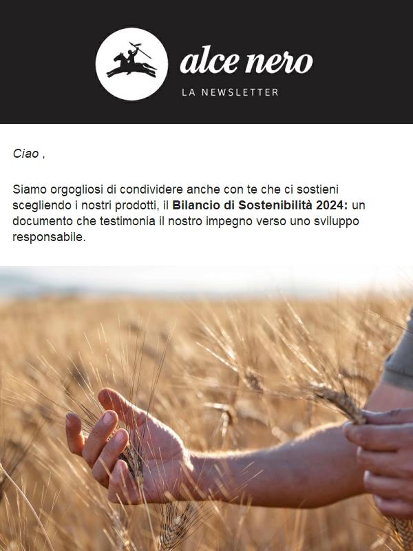 Bilancio di Sostenibilità 2024