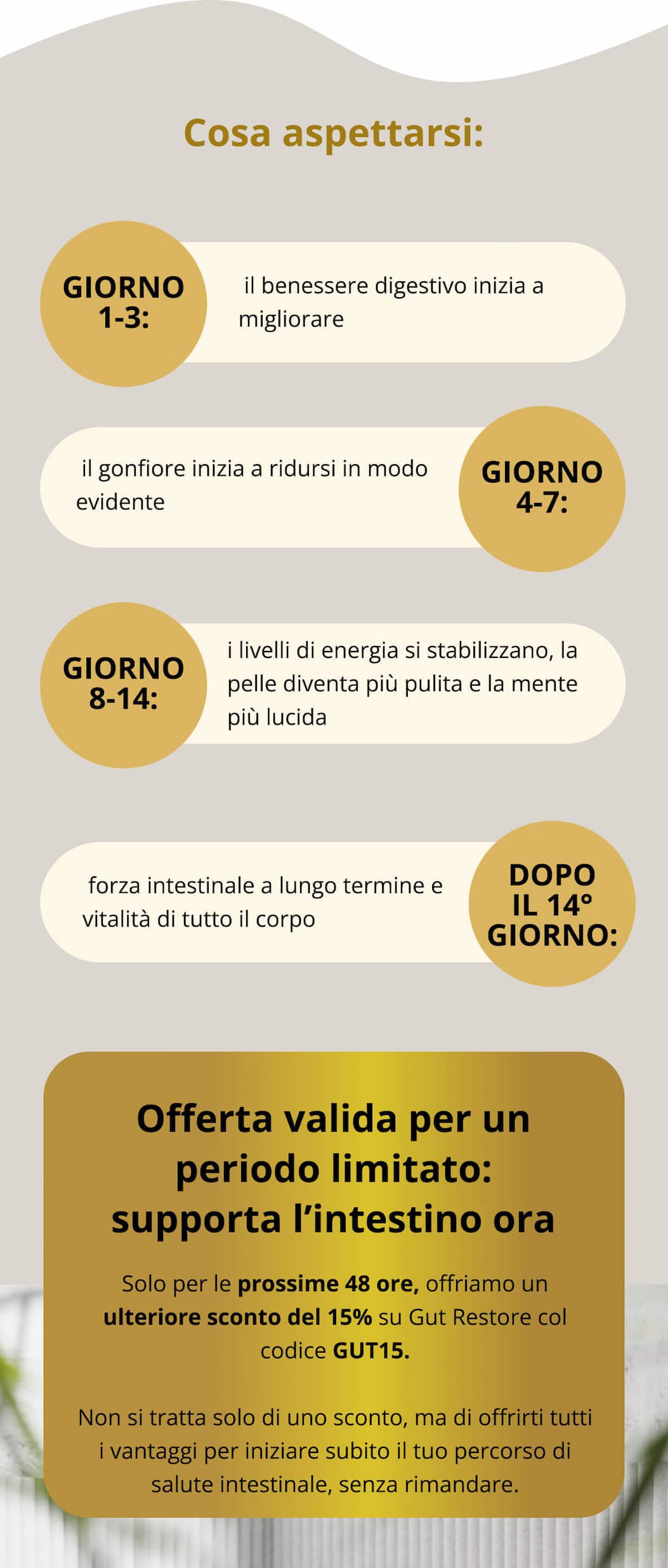 Cosa aspettarsi: Giorno 1-3: il benessere digestivo inizia a migliorare Giorno 4-7: il gonfiore inizia a ridursi in modo evidente Giorno 8-14: i livelli di energia si stabilizzano, la pelle diventa più pulita e la mente più lucida Dopo il 14° giorno: forza intestinale a lungo termine e vitalità di tutto il corpo   Offerta valida per un periodo limitato: supporta l’intestino ora Solo per le prossime 48 ore, offriamo un ulteriore sconto del 15% su Gut Restore col codice GUT15. Non si tratta solo di uno sconto, ma di offrirti tutti i vantaggi per iniziare subito il tuo percorso di salute intestinale, senza rimandare.