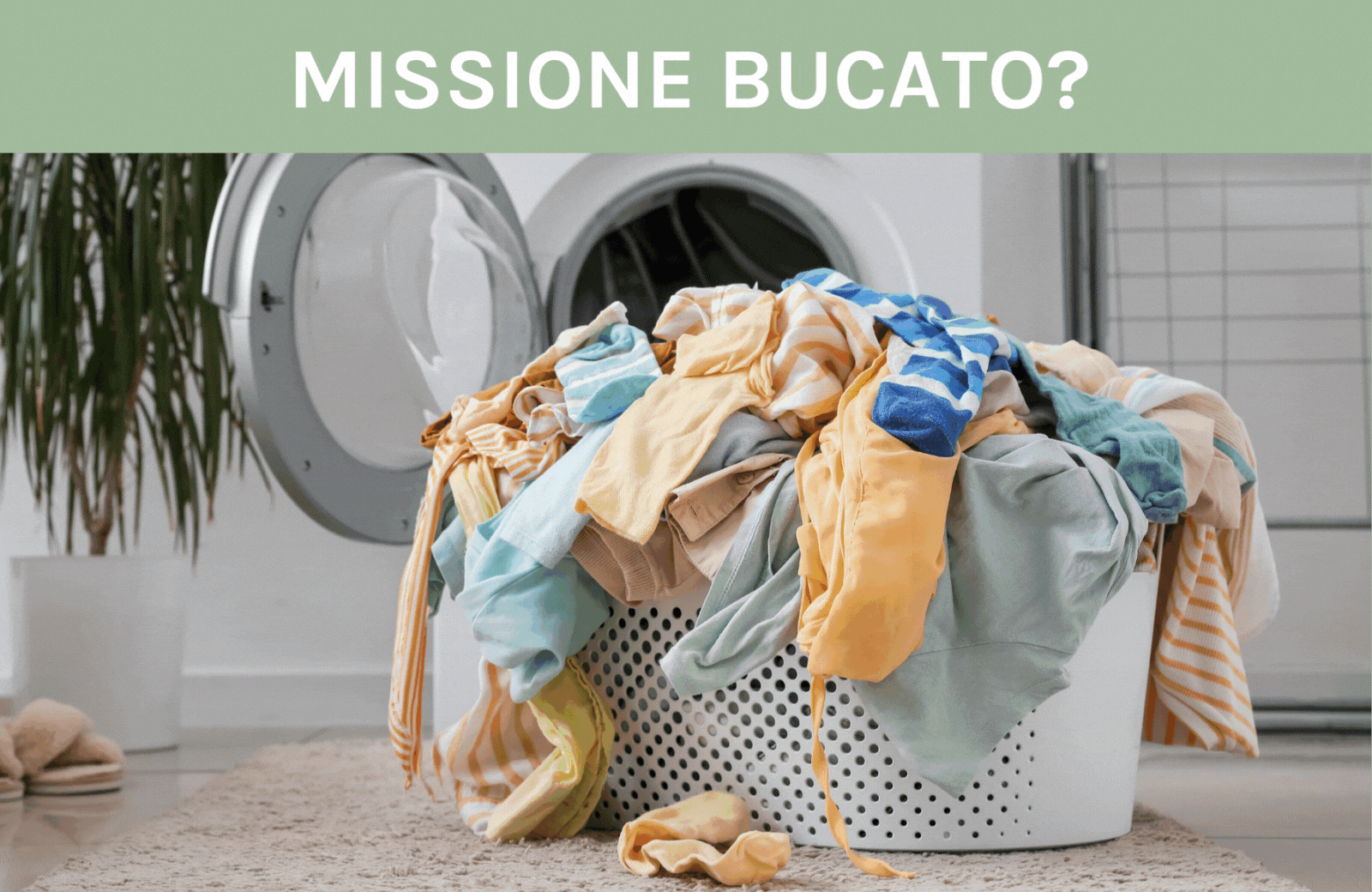 Starter Kit Bucato Perfetto!