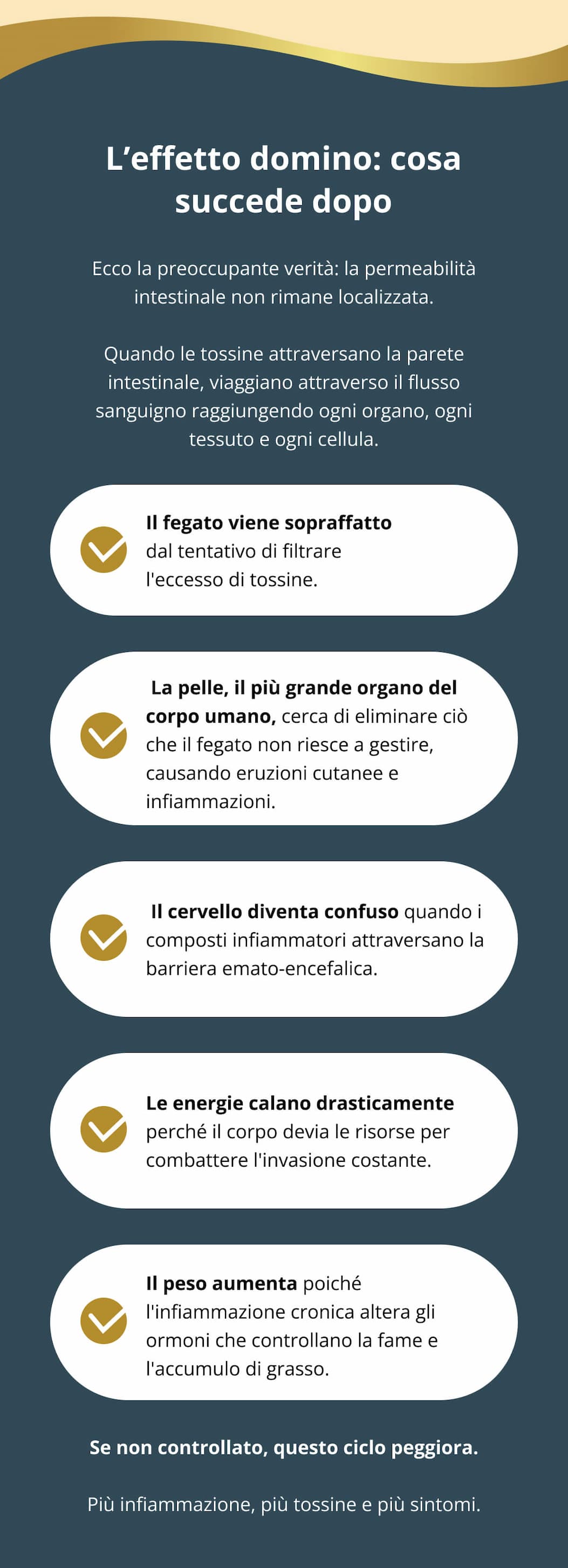 L’effetto domino: cosa succede dopo Ecco la preoccupante verità: la permeabilità intestinale non rimane localizzata. Quando le tossine attraversano la parete intestinale, viaggiano attraverso il flusso sanguigno raggiungendo ogni organo, ogni tessuto e ogni cellula. ⚠️ Il fegato viene sopraffatto dal tentativo di filtrare l'eccesso di tossine. 🫣 La pelle, il più grande organo del corpo umano, cerca di eliminare ciò che il fegato non riesce a gestire, causando eruzioni cutanee e infiammazioni. 🧠 Il cervello diventa confuso quando i composti infiammatori attraversano la barriera emato-encefalica. 🪫 Le energie calano drasticamente perché il corpo devia le risorse per combattere l'invasione costante. ⚖️ Il peso aumenta poiché l'infiammazione cronica altera gli ormoni che controllano la fame e l'accumulo di grasso. Se non controllato, questo ciclo peggiora. Più infiammazione, più tossine e più sintomi.