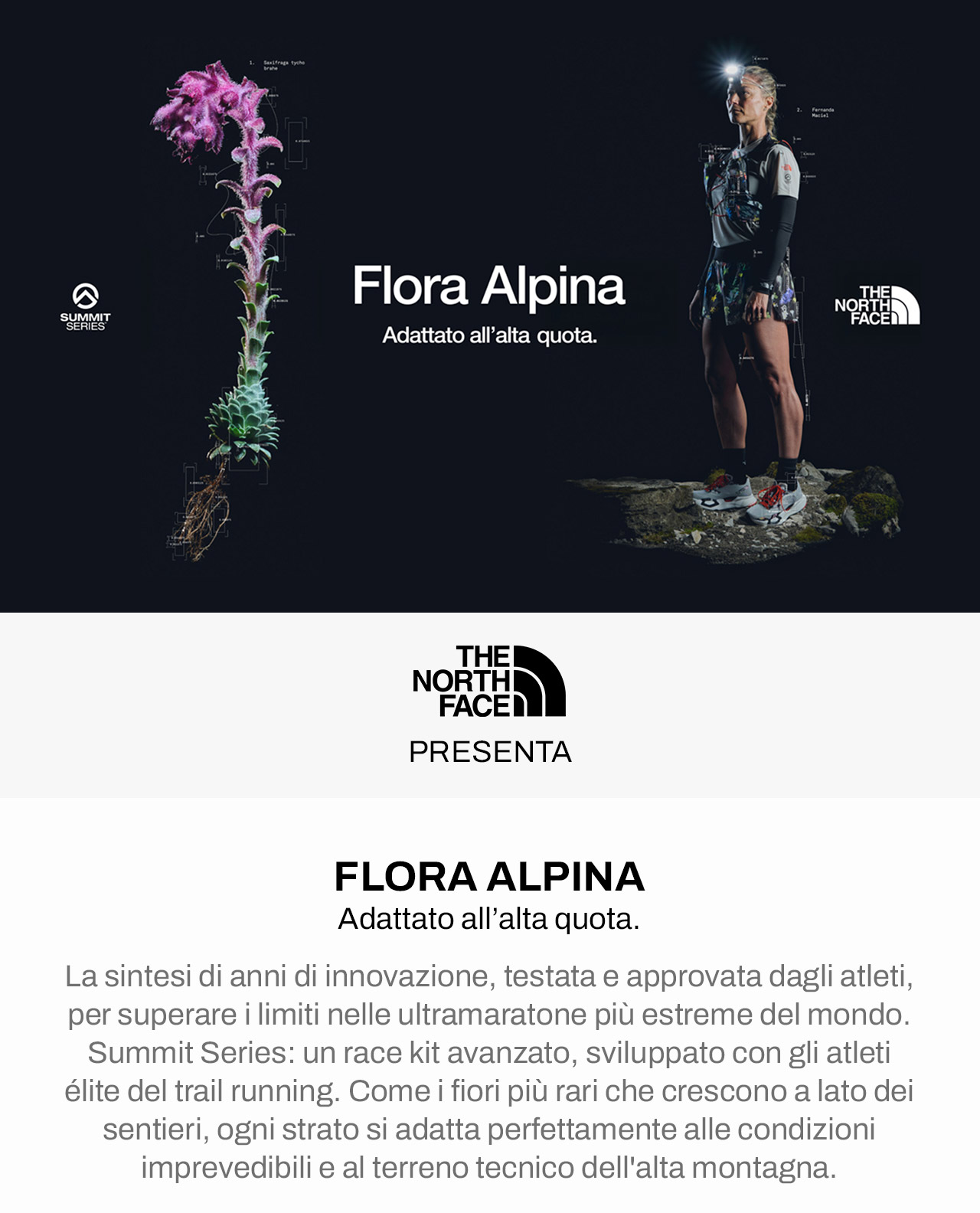 Flora Alpina