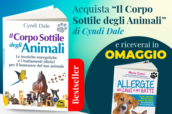 Bestseller + Omaggio