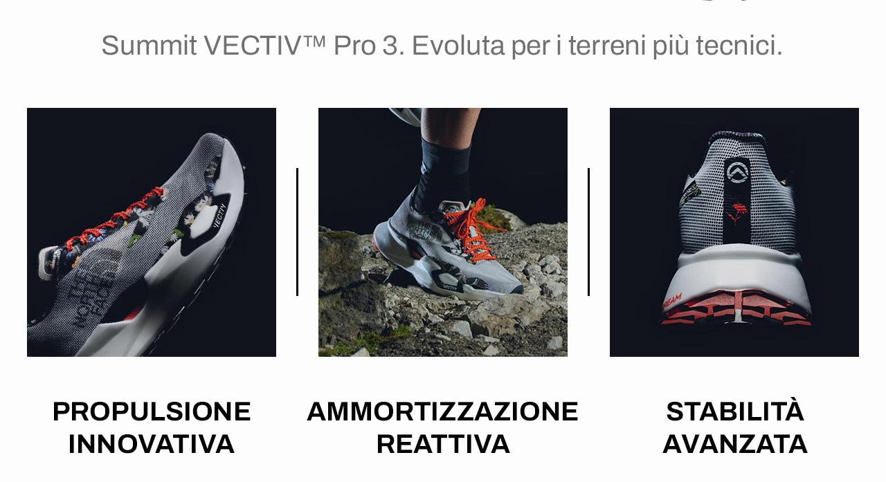 Caratteristiche Vectiv Pro 3